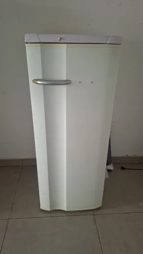 Geladeira Electrolux 220v