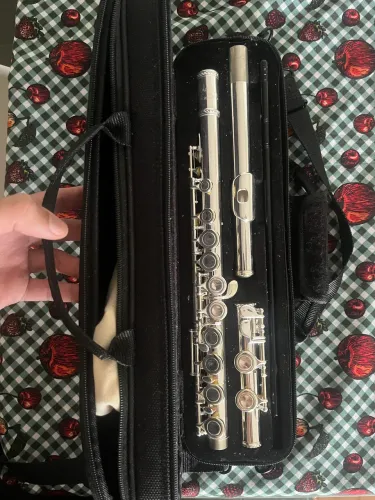 Flauta Transversal Eagle Fl03s Prateada Em Dó Com Case