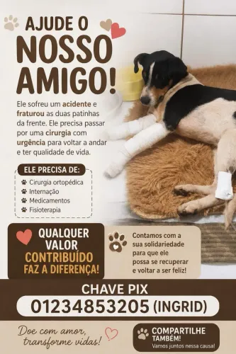Vaquinha solidária