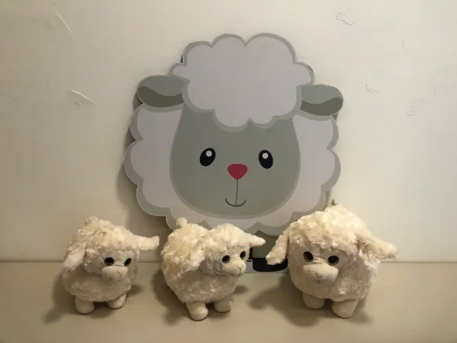 Kit decoração de Festa Ovelha
