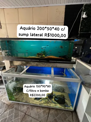 Aquários e baterias de aquários 