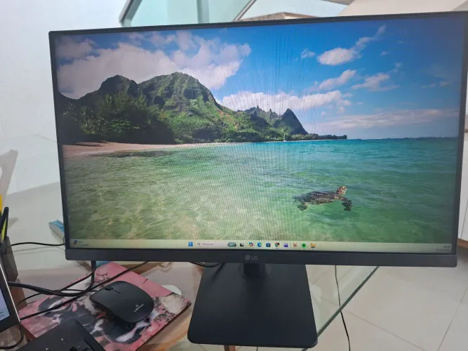 Monitor LG 24" Full HD IPS (24MS500-B) - 3 meses de uso