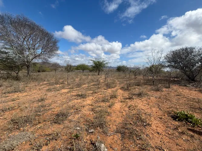 Oportunidade: Terreno rural com 53 Hectares em Glória BA