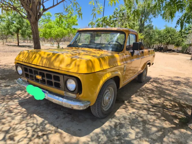 Chevrolet C-10 2.5/4.1 1979