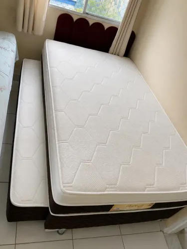 Bicama solteirão Aurora Star Eurosono