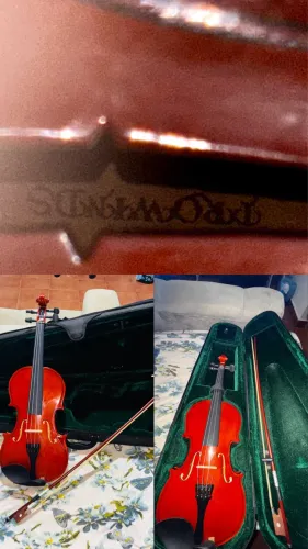 Violino prowinds