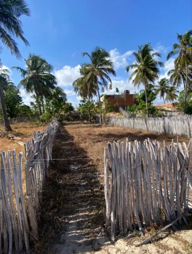 terreno icaraizinho de amontada