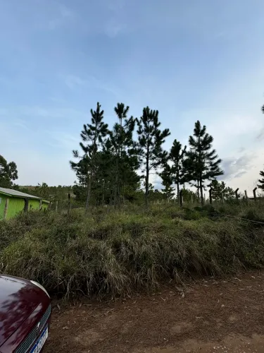 Terreno Alagado - Vila Ernestina 