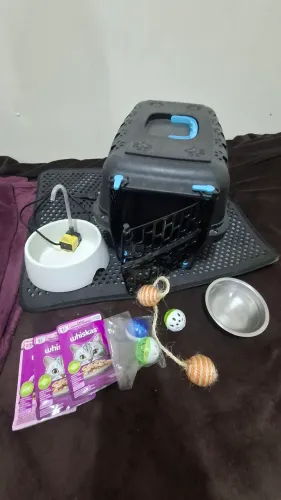 Kit Gato, caixa de transporte,  tapete, bebedouro fonte, brinquedos e saches.