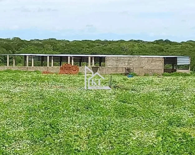 Oportunidade única de negócio: fazenda entre Jandaíra e Guamaré