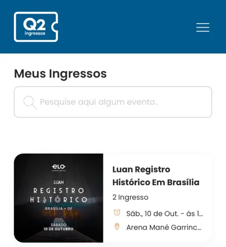 Camiseta Luan Santana 
