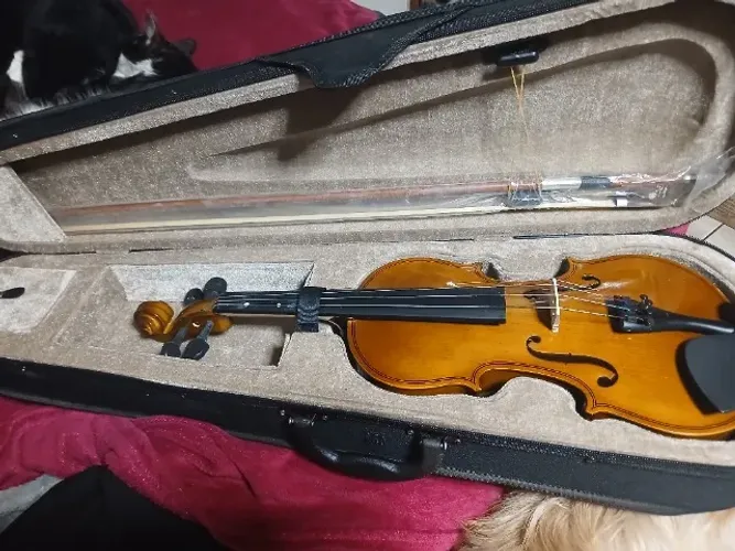Violino 3/4 seminovo