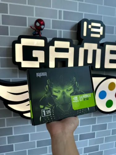 Placa de vídeo Revenger  Nvidia GeForce GT 210 1GB  