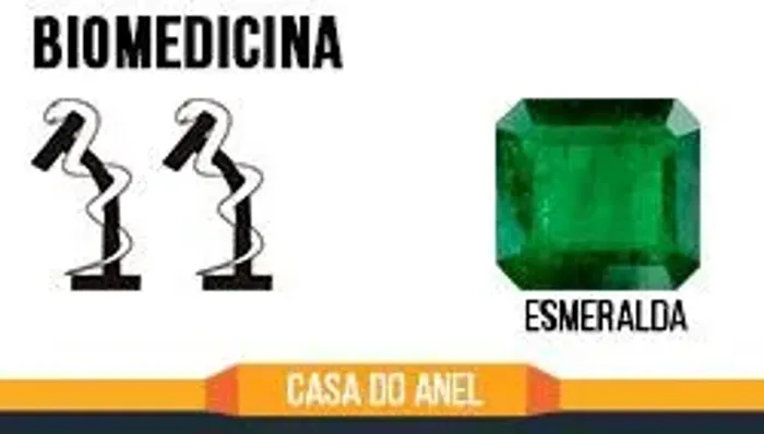 Anel de formatura Biomedicina Biomedica saude banhado a ouro 18k com emblemas em prata 950