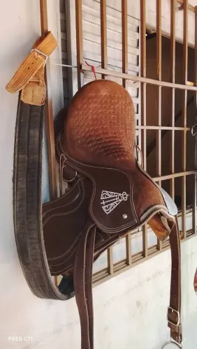 Sela de vaqueijada semi nova