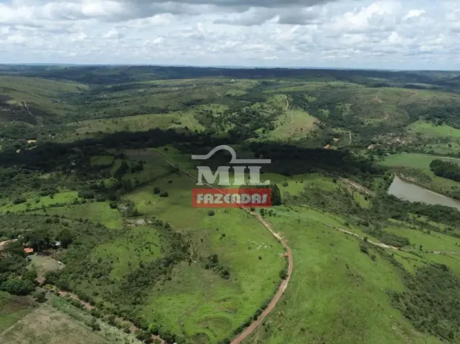 Fazenda 142 alqueires (687 hectares) Cocalzinho de Goiás - GO