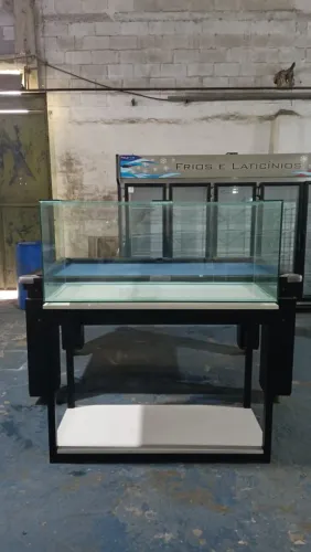 aquário 300L com base
