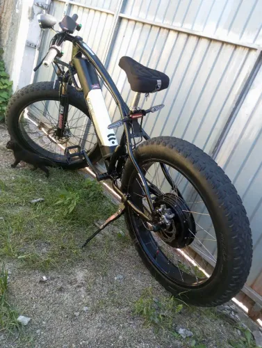 Bicicleta elétrica 800w