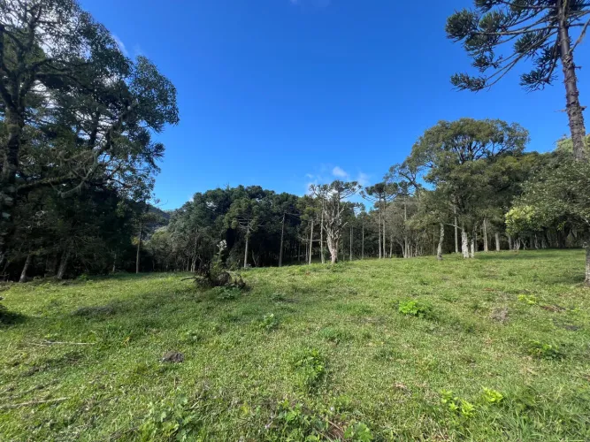 Terreno 6km centro de Urubici SC - duas hectares
