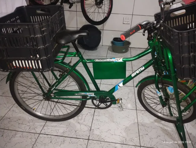 Bicicleta cargueira 
