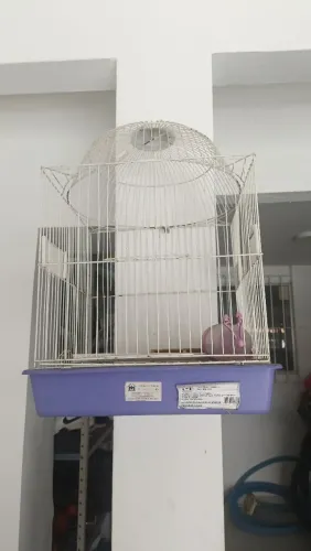 Gaiola de passarinho