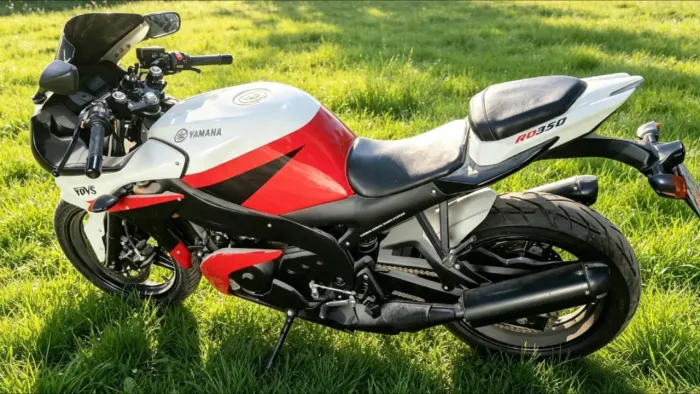 Rd 350 personalizado 1987
