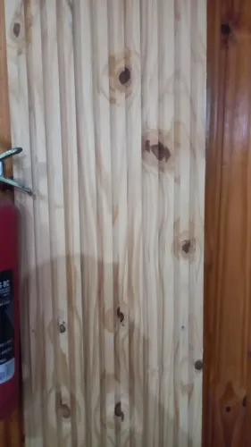 Ripado pinus