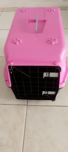 Caixa transporte Pet 