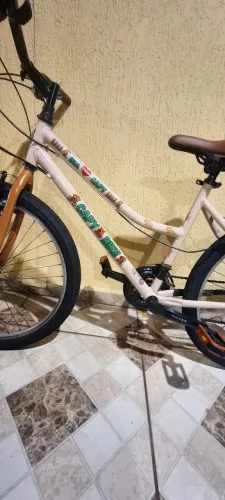 Bicicleta infantil adolescente aro 24, 21 marchas capivara