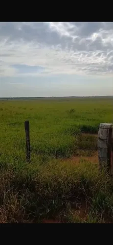 Fazenda imperdível no sul do MS 
