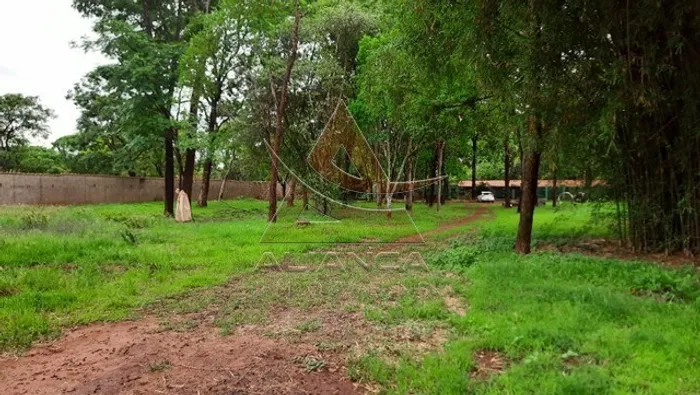 Chácara - Ribeirão Preto - Itanhangá