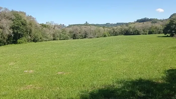 Chácara 23 Hectares em Rolante RS Campo Cercado Galpão Mangueira Açude