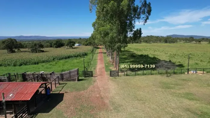 Vende-se Fazenda em Buritis MG, 180km de Brasília - Um Paraíso de 159 Hectares
