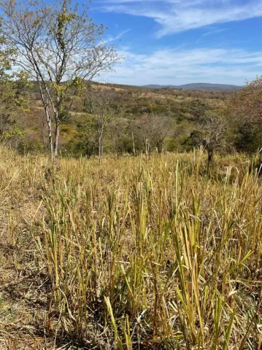 Montes Claros Mg...Fazenda formada ,,,,Area 110 alqueires...