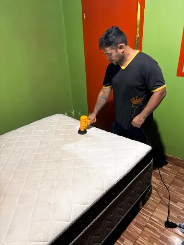 Removemos ácaros morfo fungos bactérias odores do seu colchão