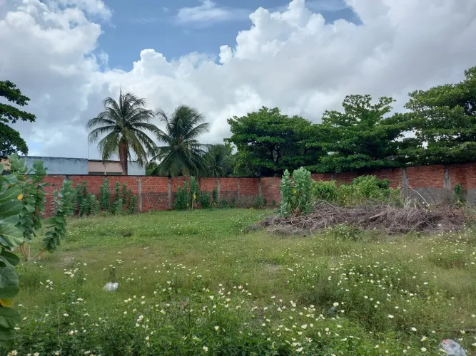 Lote/Terreno para venda possui 1089 m2.            (33 x 33) no Rodolfo Teófilo - Fortalez