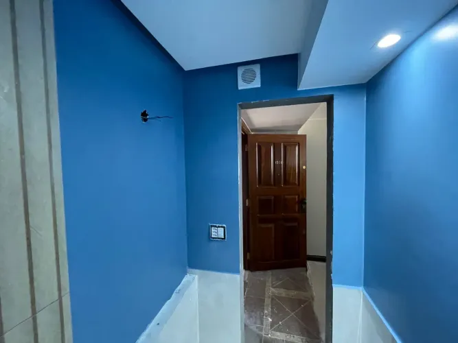 Pintor profissional em geral 