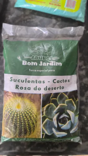 Terra especial para suculentas, cactos e rosa do deserto