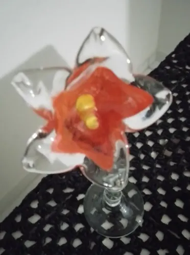 FLOR DECORATIVA - POÇOS DE CALDAS. 