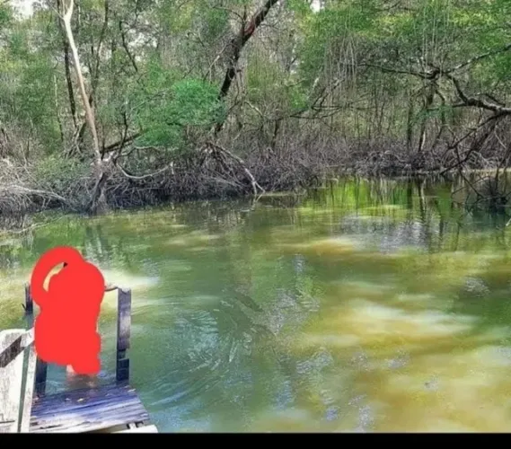 sitio 30x70 em curuça com casa, igarape, por 100 mil reais