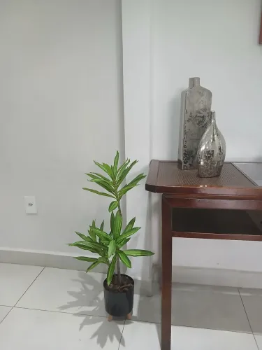 Vaso com planta artificial Yucca para decoração