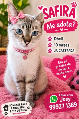 Adoção pra gato 