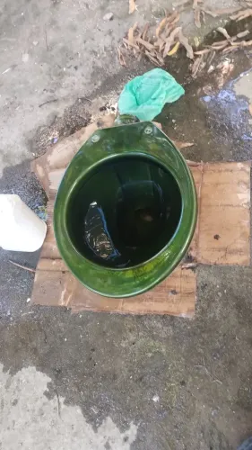 Vaso Sanitário Verde