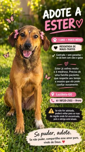 Filhotes abandonados