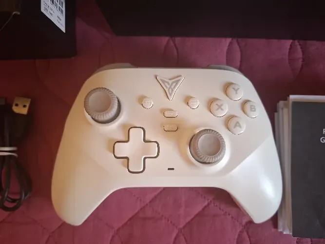 Controle Flydigi dune fox | ler descrição