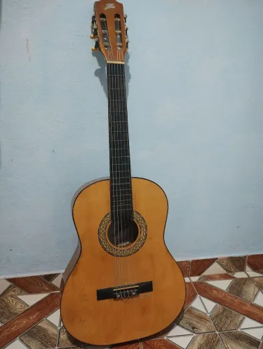 Violão zebra music