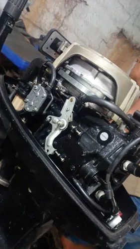 Motor de polpa 30 HP Mercury