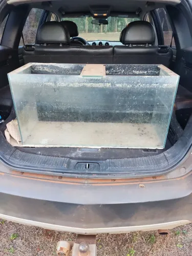 VENDO AQUÁRIO DE 100LTS EM ÓTIMO ESTADO!