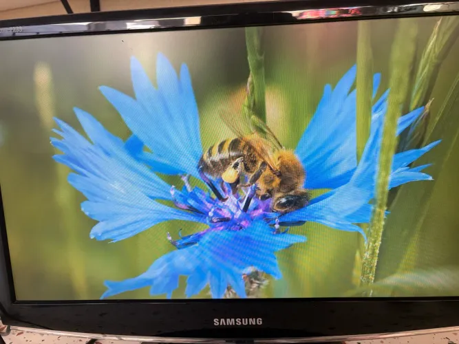 Samsung SyncMaster 2233SW Plus