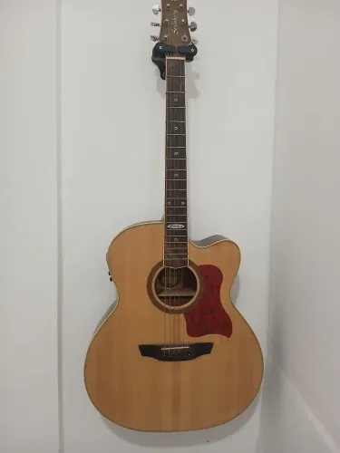 Violão strinberg 
